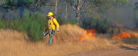 A firefighter controlling a fire