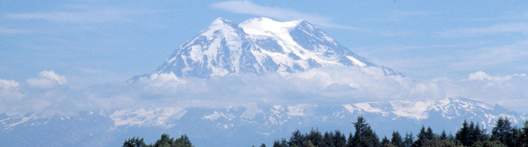 A stunning view of Mt. Rainier