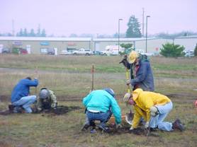  Volunteers salvaging native prairie plants before a parking lot is constructed.