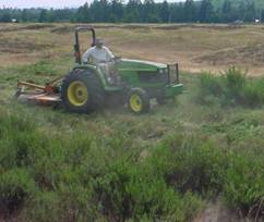 A tractor mowing Scotch Broom